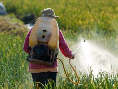 Паркинсоны өвчний шалтгаан бордоо байж болзошгүй гэж үзэх болжээ