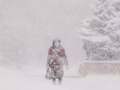 Афганистан, Казахстан улсуудад их хэмжээний цас орж, цасан шуурга шуурчээ