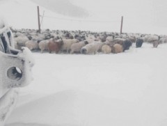 Увс аймгийн Хяргас, Малчин суманд 29 см цасан бүрхүүл тогтжээ 
