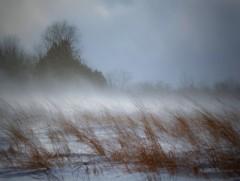 Малтайгаа төөрсөн иргэнийг эсэн мэнд олжээ