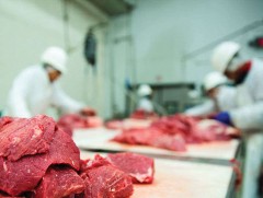 Мах, гурилд тусгайлан зээл, хөнгөлөлт үзүүлсний үр дүн муу байна