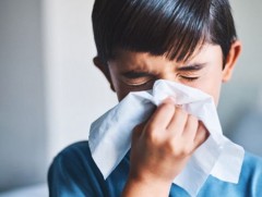 Улирлын томуу, томуу төст өвчний тархалт нэмэгдлээ