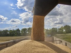 НҮБ: Украины үр тарианы нөөц дотоодын болон гадны эрэлтийг гүйцэхгүй байх эрсдэлтэй