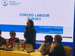 “Хүүхдийн хөдөлмөрийн судалгаа болон албадан хөдөлмөр эрхлэлтийн судалгааны туршлага” семинар Турк..