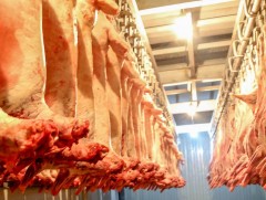 Манай улс АНЭУ руу хонь, ямааны мах экспортод гаргаж байна