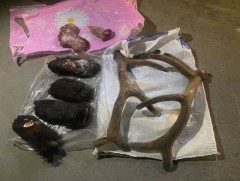 Амьтан хууль бусаар агнах гэмт хэрэг нэмэгджээ