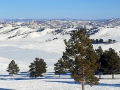 Өнөөдөр хүйтэн байх боловч, 12-ноос хүйтний эрч суларна