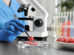 Италид лабораторийн аргаар гаргаж авсан махыг хоригложээ