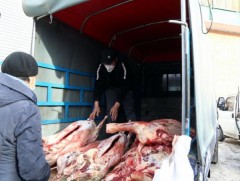 Арваннэгдүгээр сарын 27-ноос 