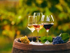 Усан үзмийн дарсны үйлдвэрлэл сүүлийн 60 жилд хамгийн бага түвшинд очжээ