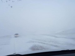 Арванхоёрдугаар сарын 4-нөөс цас орж, цасан шуурга шуурна 