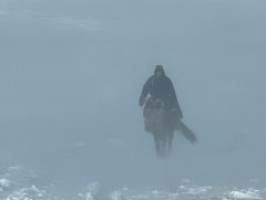 Нутгийн зарим газраар цасан шуурга шуурч, жавартай, хүйтэн байна 