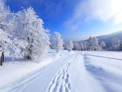Нийт нутгийн 70 орчим хувьд цастай байна