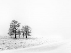 Нийт нутгийн 80 гаруй хувьд цастай байна