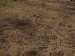 42 байршлын 3,26 га газрыг нийтийн эдэлбэрт бүртгэж, тохижилт хийнэ