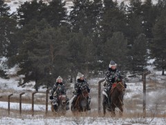 Хилчид гурван иргэний амь насыг аварлаа