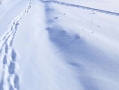 Увс аймгийн Зүүнговь суманд -49.4 хэм хоножээ 