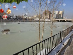 Нийслэлийн зарим дүүрэгт халиа, дошин үүсэх эрсдэл өндөр байна 