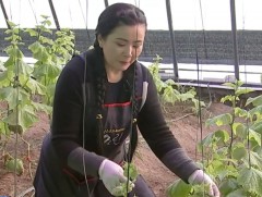 Б.Пүрэвтуяа: Залуус сурсан мэдсэн зүйлсээ орон нутгаа хөгжүүлэхэд зориулаасай гэж хүсдэг 