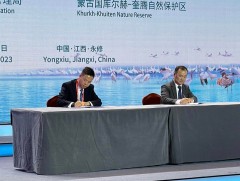 Монгол, Хятад улсын тусгай хамгаалалттай газрууд цэн тогоруу хамгаалалд хамтран ажиллана