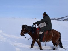 Отгонтэнгэрийн УТХГ-т 200 кг хужир тавьжээ 