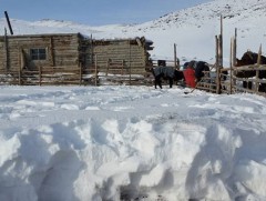 Цаг уурын станц, харуулын цасны зузааны мэдээ 