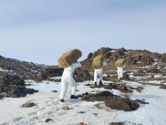 Зэрлэг амьдад зориулан 100 боодол өвс байршуулан биотехникийн арга хэмжээг хэрэгжүүллээ