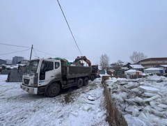 Нийслэлд халиа, тошин үүсэх эрсдэл өндөр байна