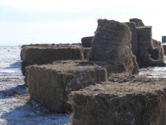 Малчид 20.100 толгой мал худалдах захиалгаа хөдөө аж ахуйн биржэд өгөөд байна