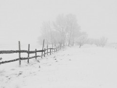 Ихэнх нутгаар хүйтний эрч чангарч, салхи, шуургатай байхыг анхааруулж байна