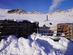 Зудын үнэлгээ хийхэд 20 аймгийн 166 суманд өвөлжилт хүндэрсэн байна