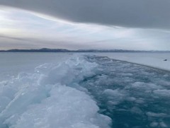 Хөвсгөл нуурын Хадан хүй, Тургийн ам зэрэгт хар хил гарчээ 