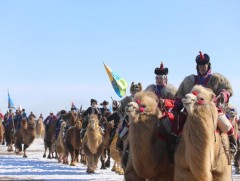 “Түмэн тэмээний баяр”-ыг гадна, дотоодын 8475 жуулчин зорин очжээ