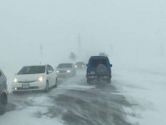 ШУУРХАЙ МЭДЭЭ: Нийслэлээс гарах бүх чиглэлийн автозамын хөдөлгөөнийг тодорхойгүй хугацаагаар хаалаа