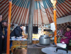 Налайх дүүрэгт 50 тонн тэжээлийг үнэ төлбөргүй олголоо