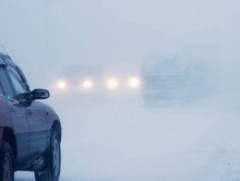 Хаасан замуудыг нээлээ 