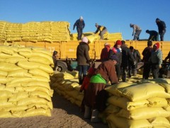 Өнөөдрийн байдлаар улаанбуудайн хивэг 13,7 мянган тонныг импортолсон байна