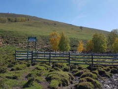 2024 онд нийслэлийн нутаг дэвсгэрт 3 булгийн эхийг хамгаалж, 1 хөв цөөрөм байгуулна 