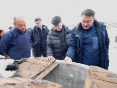 Х.Эрдэнэбулган мал сүргийнхээ чанарт анхаарч, сүргийн бүтцээ чухалчилж байна