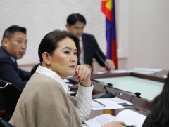 Бага насны хүүхдийн цогц хөгжлийг дэмжих орон тооны бус зөвлөл хуралдлаа