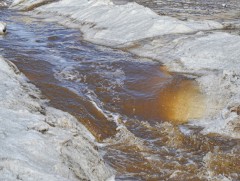 Долоон аймгийн 53 сумын 4470 өрх шар усны үерт өртөх магадлал маш өндөр байна