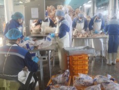 Нийслэлд гуравдугаар сарын 11-нээс нөөцийн махыг худалдаанд гаргана