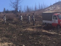 Нийслэлийн ногоон бүсэд түймэр гарах эрсдэл дунд зэрэг байна