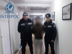 Интерполын 