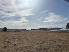 Түймэрт урьдчилсан байдлаар 1200 га талбай өртжээ 