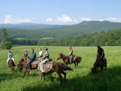 Жуулчдад дахин зорьж ирэх сэтгэгдэл төрүүлсэн үйлчилгээ үзүүлэх нь чухал юм