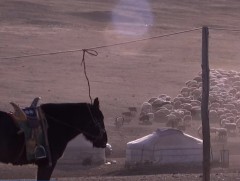 Малчид хоршоолж ажиллахыг илүүд үзэж байна