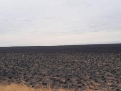 Хээрийн түймрүүдийг бүрэн унтраалаа