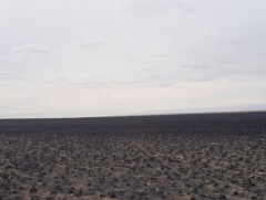 Ой, хээрийн 44 удаагийн түймэр гарч, 435.658 га талбай түймэрт өртсөн байна