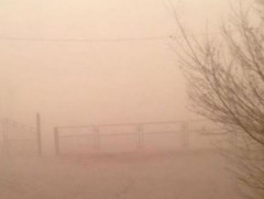 Цасан болон шороон шуурга шуурч, эрс хүйтэрнэ 